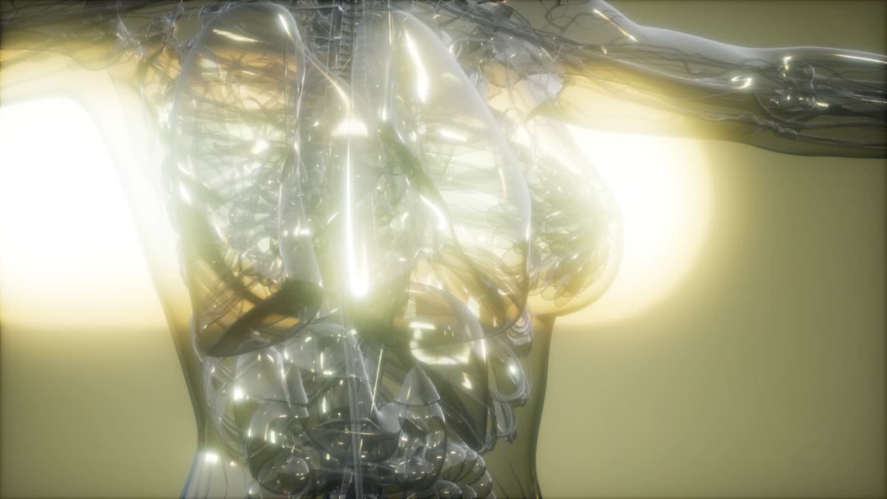 рентгеновское изображение человеческого тела