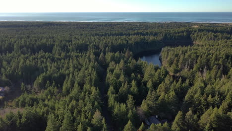 the beautiful and peaceful scenery of fahys lake in oregon with green pine trees and calm lake under the bright blue sky above - aerial shot