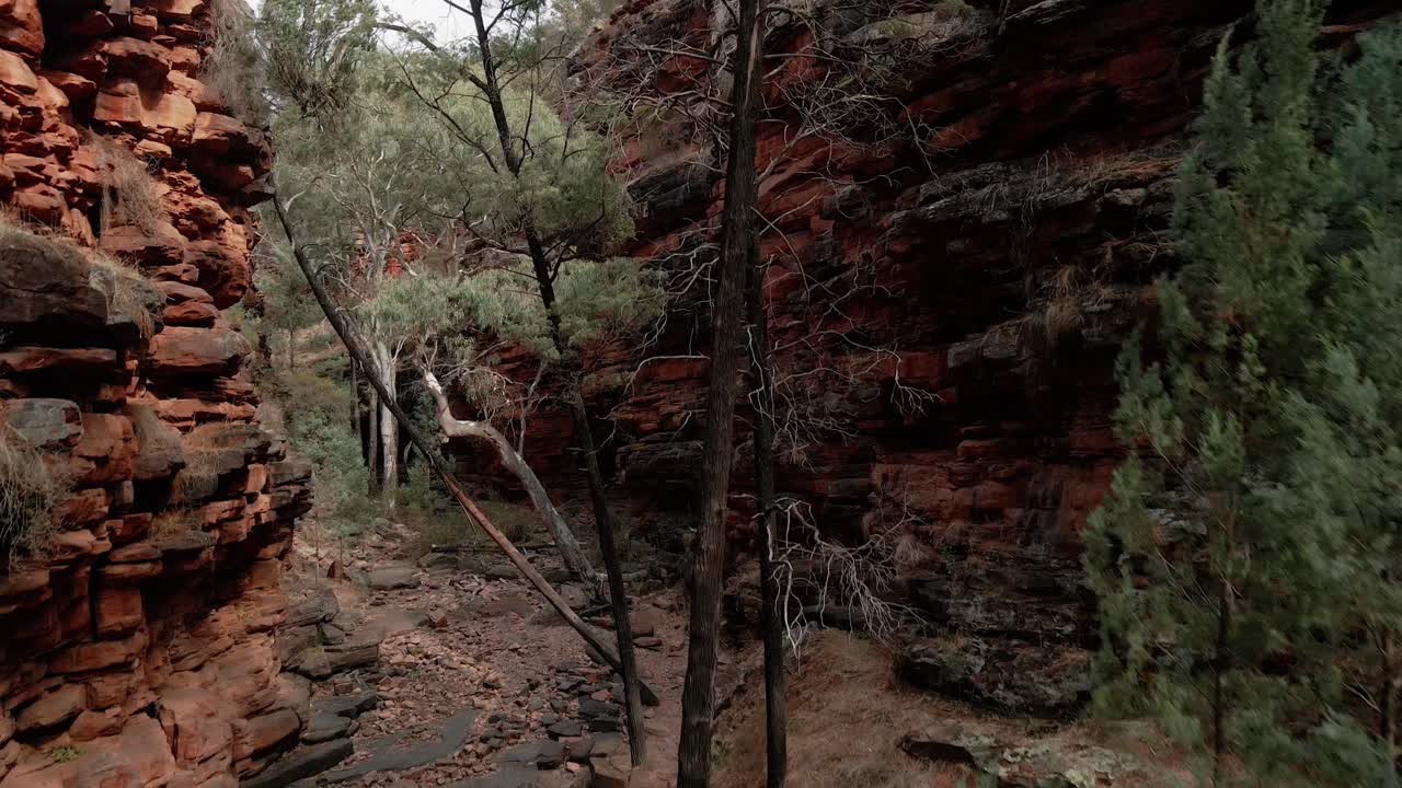 espectacular garganta del cocodrilo que se eleva dolly disparado con acantilado de roca roja y arroyo seco, parque nacional del monte notable, australia del sur
