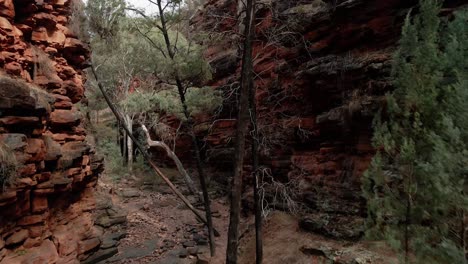 Espectacular-Plataforma-Rodante-En-Ascenso-De-Alligator-Gorge-Con-Acantilado-De-Roca-Roja-Y-Dry-Creek,-Parque-Nacional-Mount-Notable,-Australia-Del-Sur