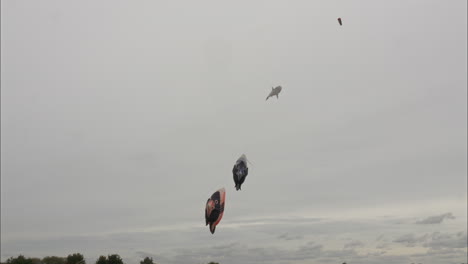 various shaped kites flying in the sky at a kite festival