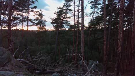rocks with trees above the horizon create a beautiful view of the sunset in winter, toulovcovy maštale - czech republic