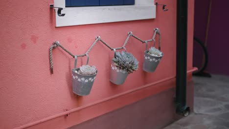 rustic succulents in hanging pots on burano wall