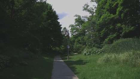 Narrow-Road-Trail-Between-Lush-Grass-And-Trees-On-A-Sunny-Day---tilt-down-shot