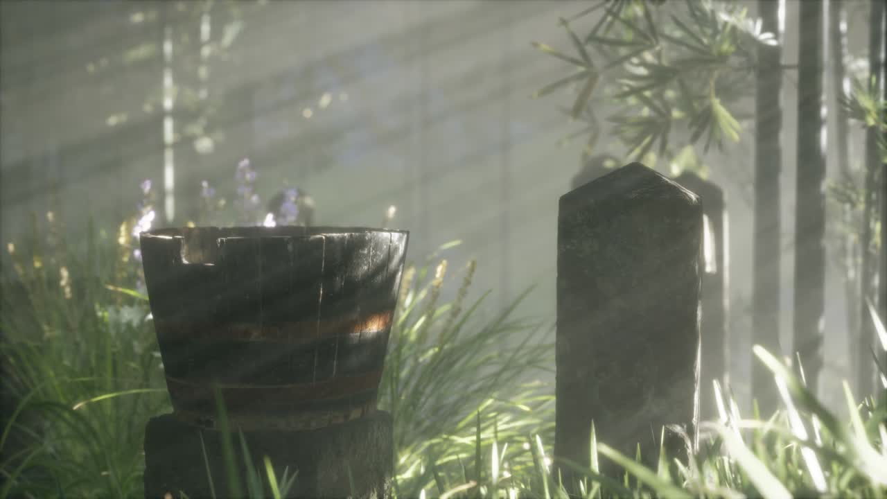 일본 대나무 숲 과 녹색 초원 잔디 와 자연 빛