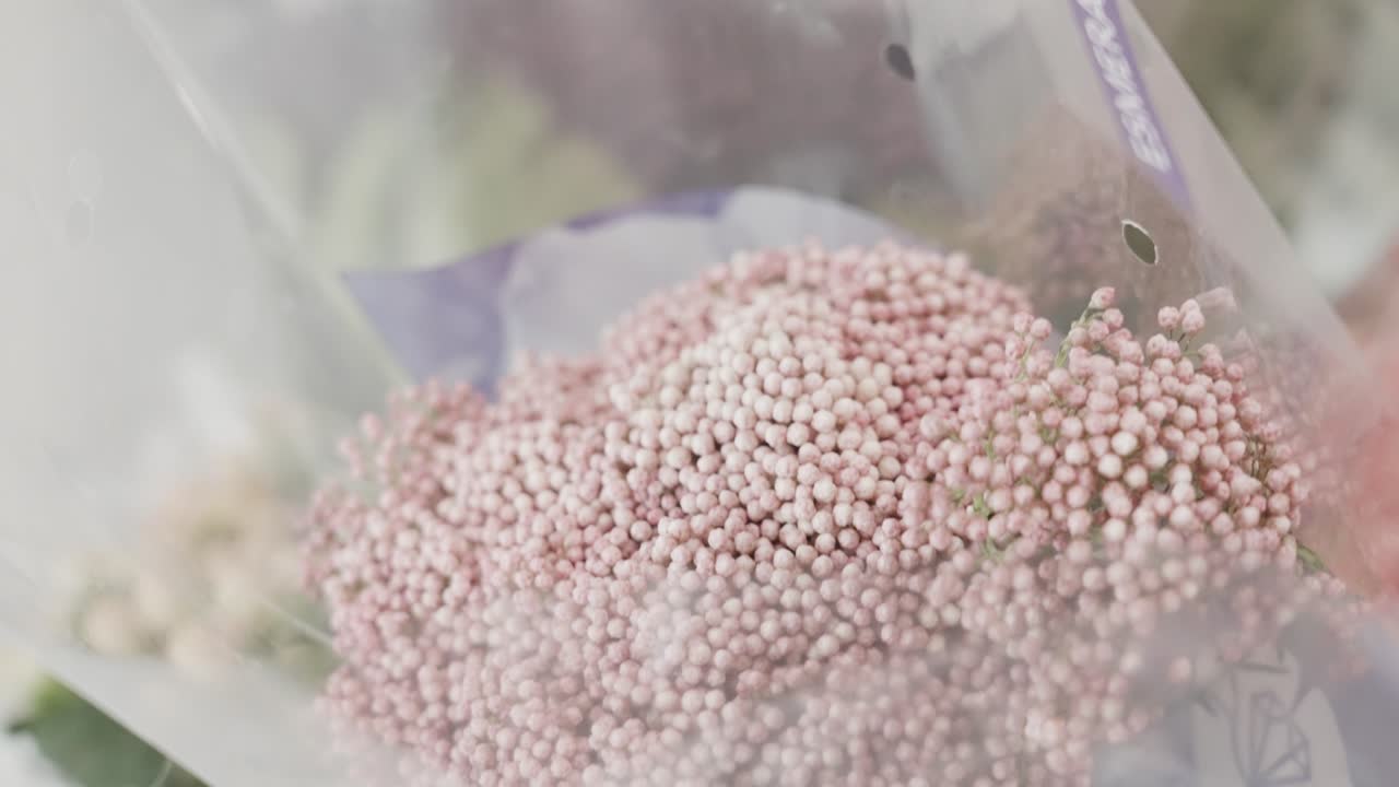 슬로우 모션 쌀꽃 다발