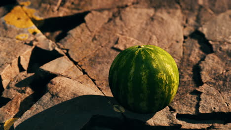 Wassermelonenfruchtbeere-Auf-Felsigen-Steinen