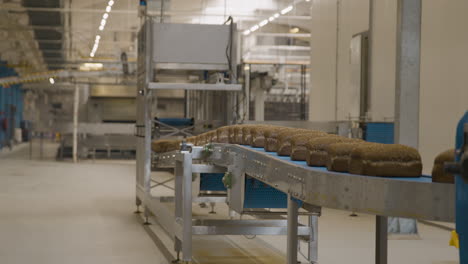 Dark-bread-moving-down-a-conveyor-belt