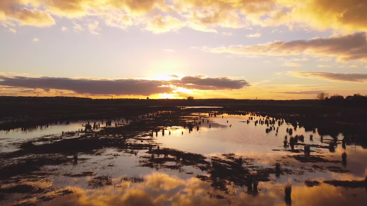 Areal drone shot of flooded agriculture crops fields with a perfect reflection at sunset. Flying at a low altitude over the water into the sunset.
