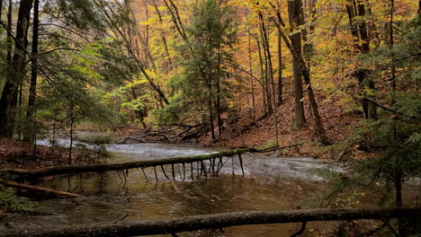 Fairy-tale-autumn-landscape-in-the-forest,-leaves-falling-from-the-trees-on-the-rushing-river