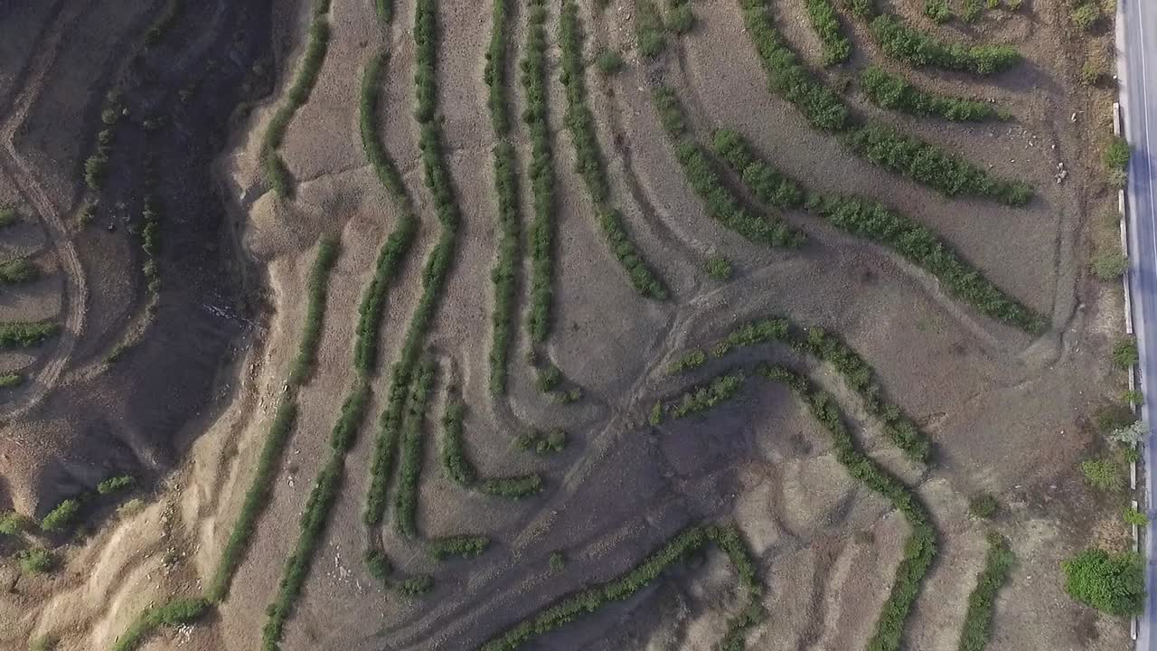 vista aérea de los campos en terrazas