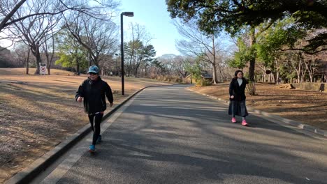 people enjoying a peaceful walk in a park