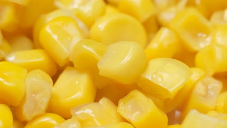 macro video of fresh corn spinning in a circle corn background the concept of agriculture macro video of fresh corn spinning in a circle corn background the concept of agriculture