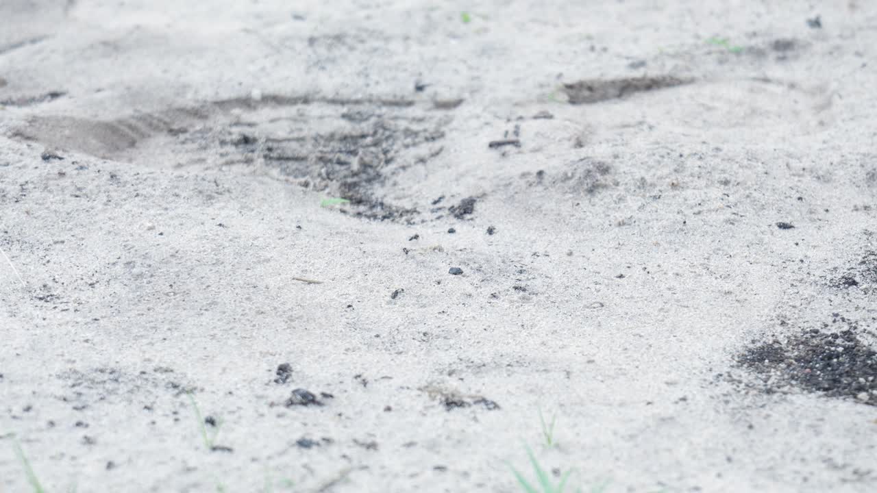 Close-up of light gray sand with small dark debris