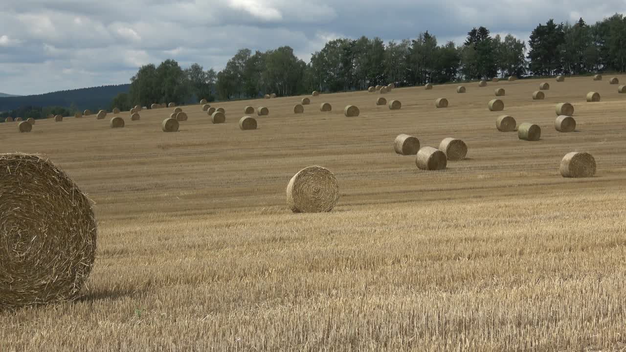 hermoso paisaje. campo agrícola. paquetes redondos de balas de paja en el campo.