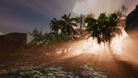 sunset beams through palm trees