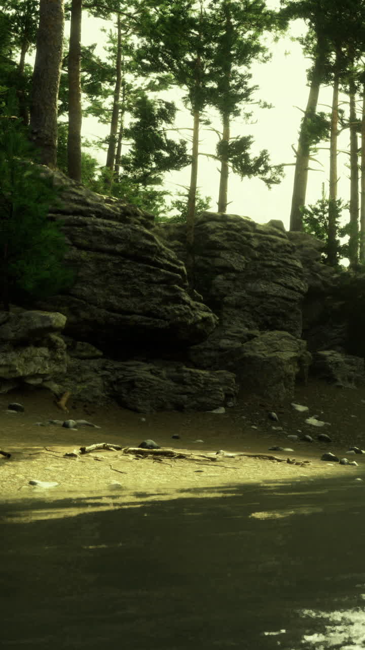 Rocce e alberi lungo una strada sterrata in una foresta durante le ore diurne.