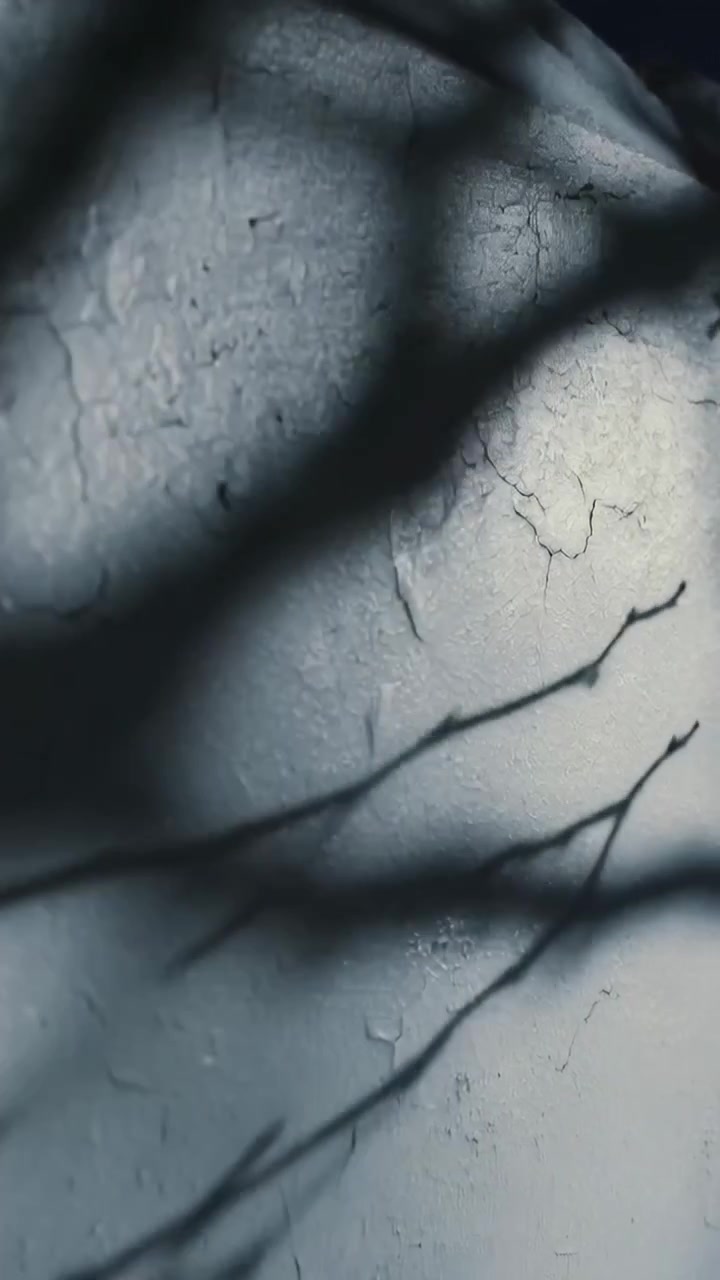 Vertical video: Sunlight casting tree twig shadows sweeping on cracked plaster wall, breeze moving