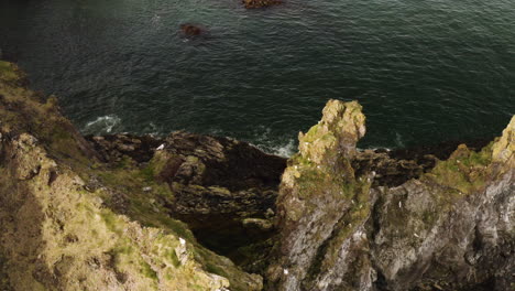 Londrangar-basaltklippen-An-Der-Küste-Der-Halbinsel-Snaefellsnes-In-Island