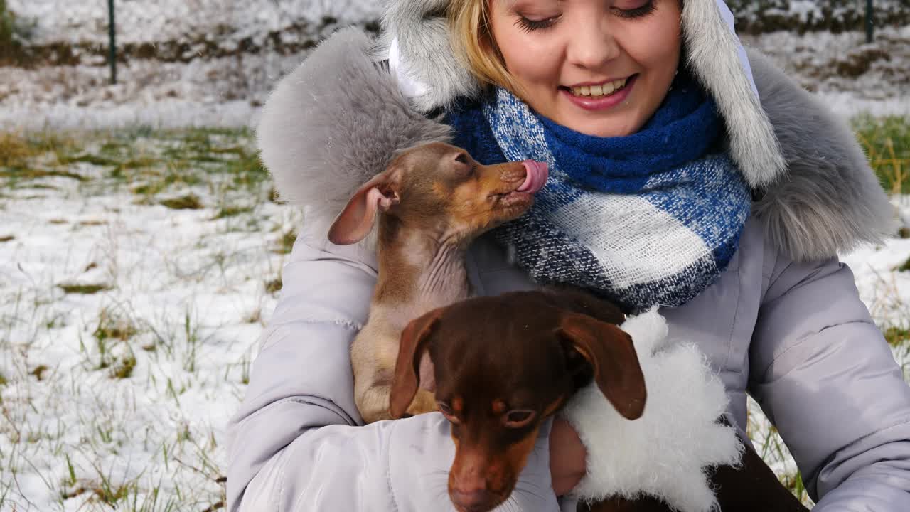 여자 는 겨울 밖 에서 작은 개 들 과 함께 놀고 있다