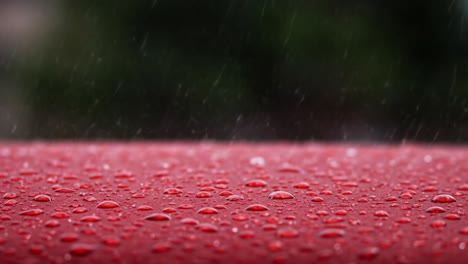 close-up of raindrops on a red surface capturing the serenity of a rainy day, emphasizing texture and reflection in nature's elements