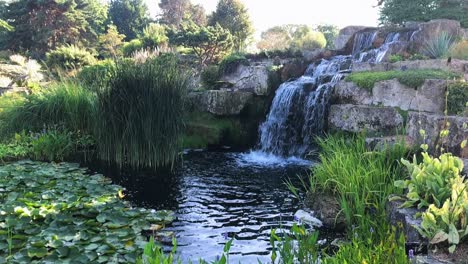 pond cascade garden in slow motion