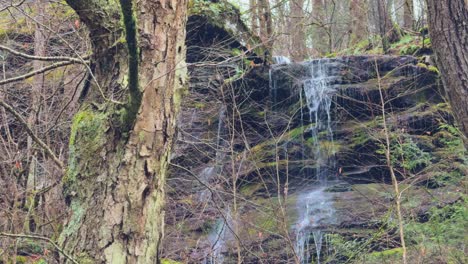 a stunning waterfall high in the appalachian mountains during early spring on a rainy day