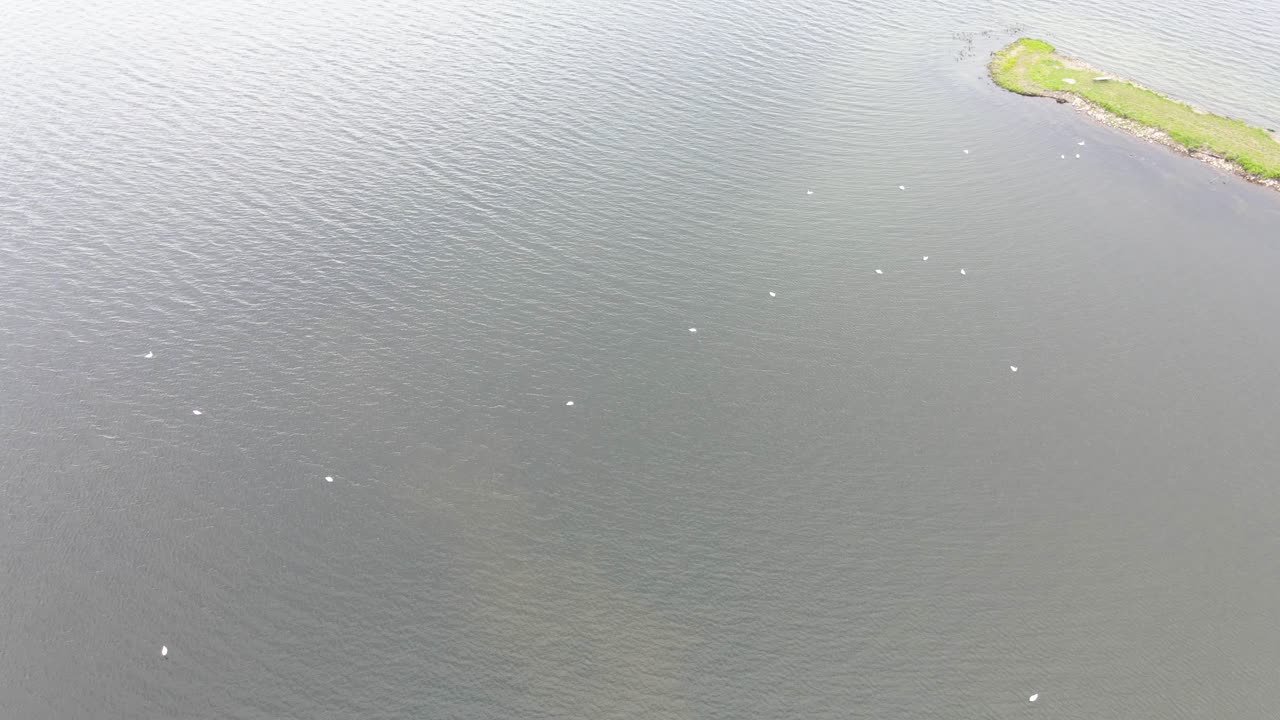 머스키건 호수의 고요한 하루