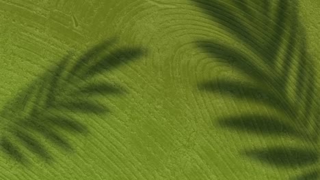 Animation-of-palm-leaf-shadows-swaying-over-changing-green-wood-grain-pattern