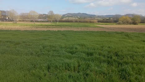 Aerial-dolly-right-over-rapeseed-field,-train-passing-in-background