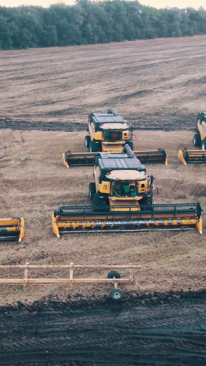Combine harvesters in field