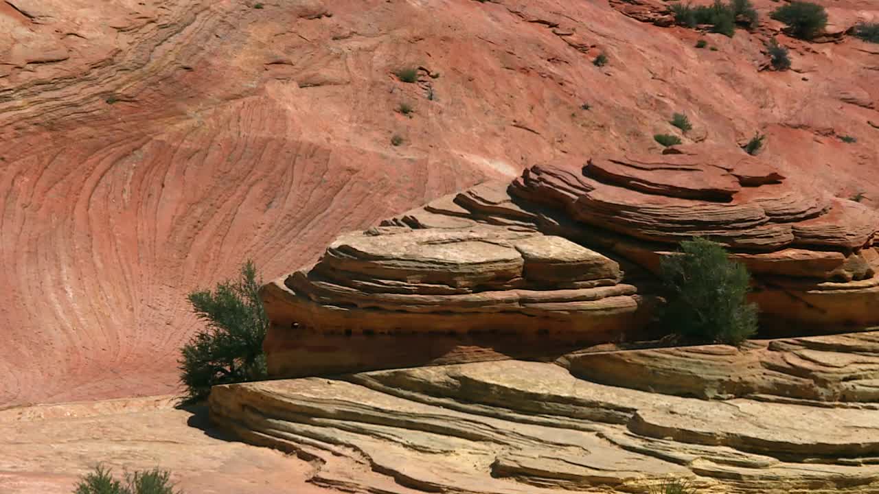 Eroded Sandstone Formation In Zion National Park Dry Landscape, Utah