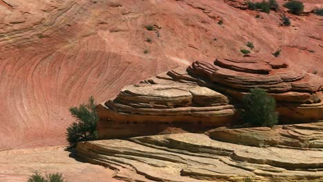 eroded sandstone formation in zion national park dry landscape, utah