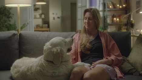 woman petting cute dog on sofa