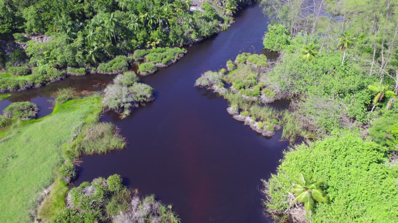 Drone footage of the Police bay mangrove, Mahe Seychelles, 30fps 3