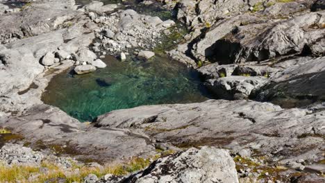 Hermoso-Arroyo-Que-Fluye-Hacia-Una-Piscina-De-Montaña-Cristalina-Durante-El-Día-Soleado---Tiro-Panorámico-En-Cámara-Lenta---Silla-De-Montar-Gertrude,-Nueva-Zelanda