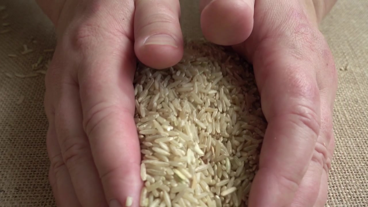 De boer haalt rijst uit jute. Slow motion.