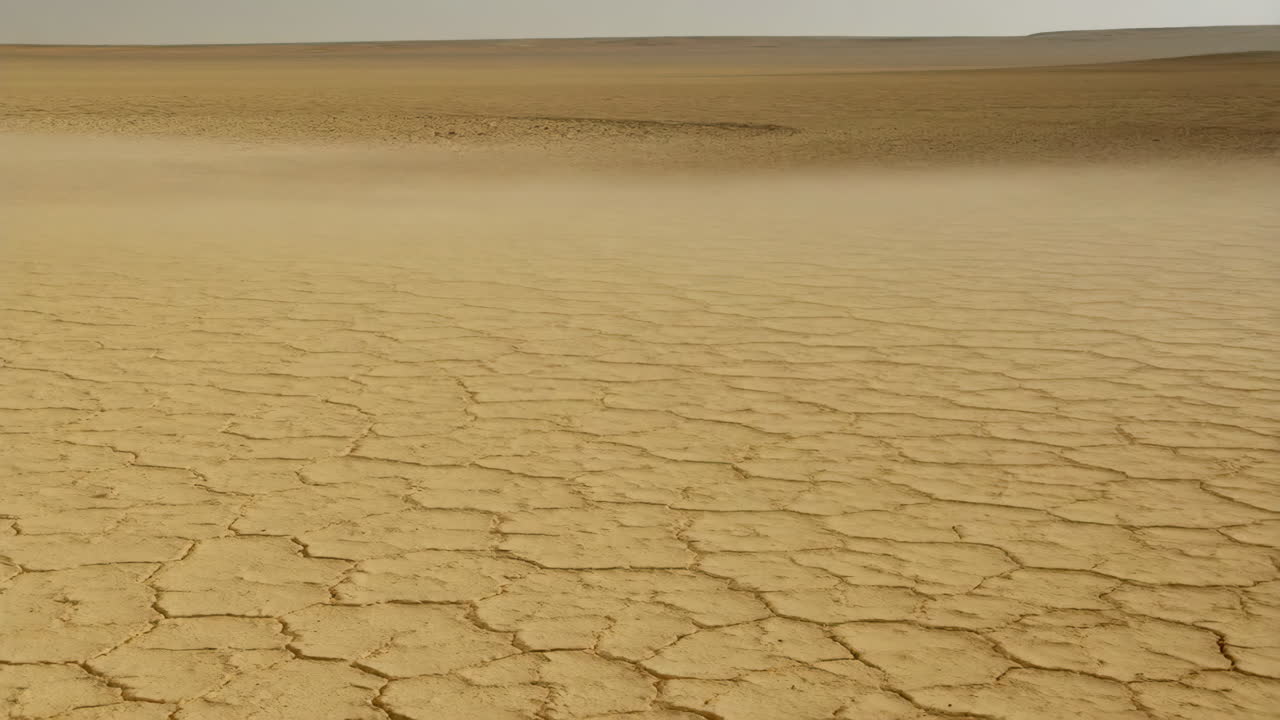 Cracked Dry Earth in an Arid Landscape