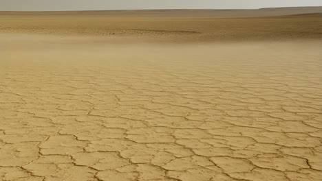 cracked dry earth in an arid landscape
