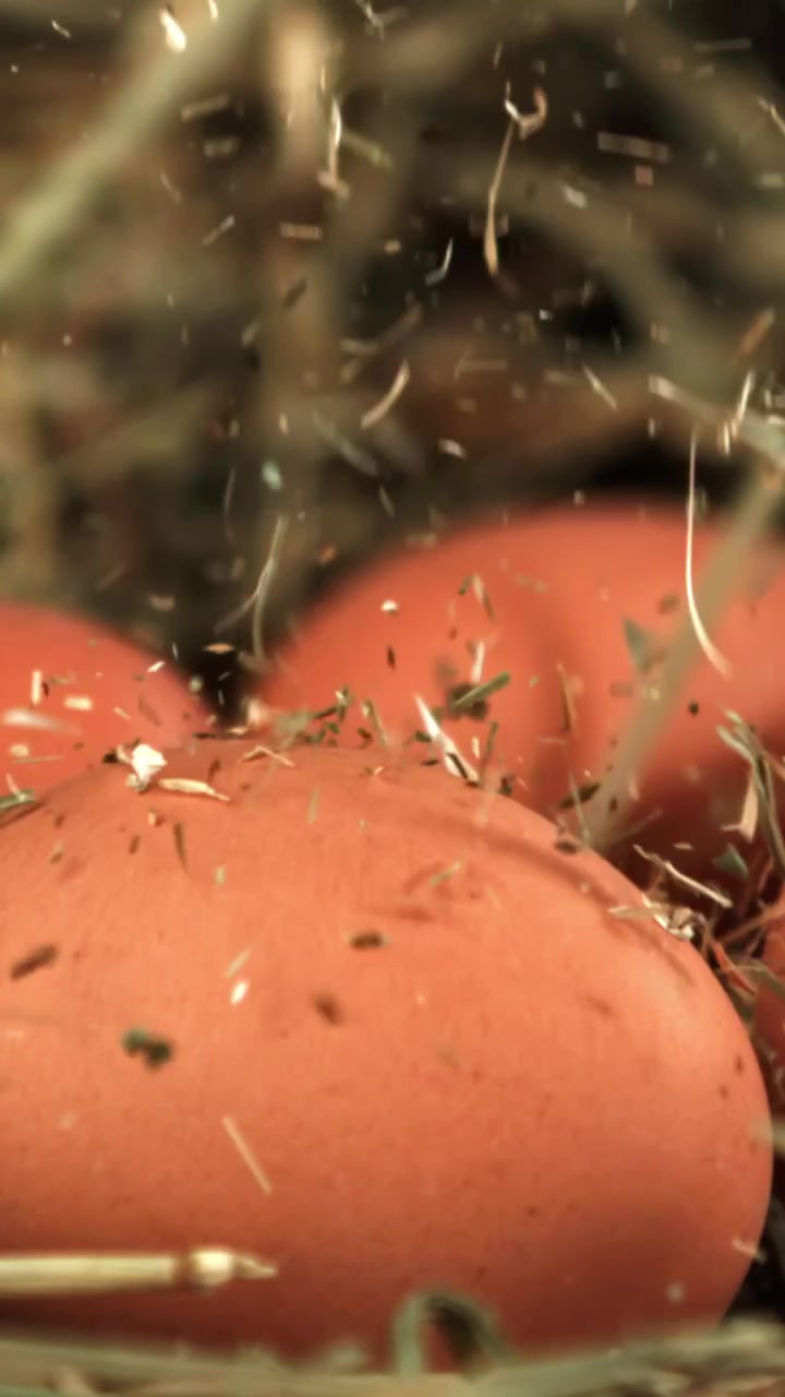 Fieno che cade al rallentatore su uova fresche marroni in un nido