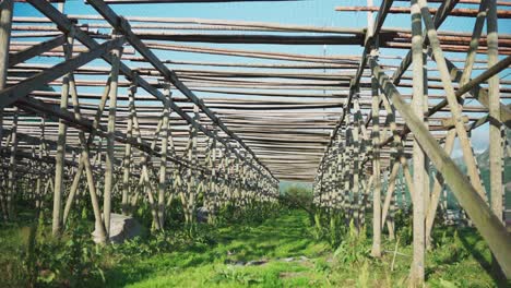 Wooden-Frame-Racks-For-Stockfish-Cod-Drying-In-Norway