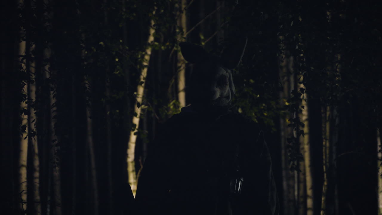 Silueta de persona en el bosque de noche