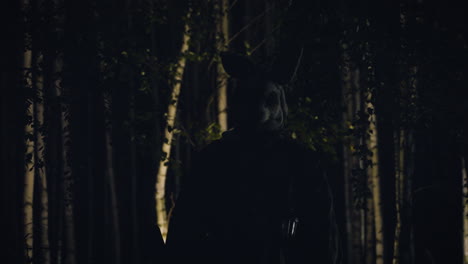 silhouette of person in forest at night