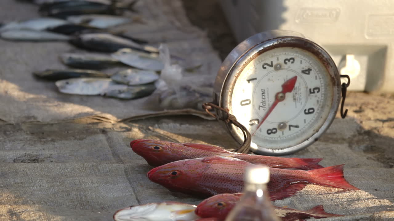 Zihua Pescatori 23