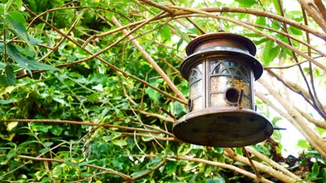 ornate metal garden bird feeder filled with seeds and nuts swaying from branches in the breeze