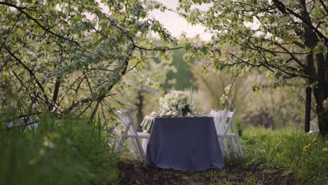Tisch-Für-Hochzeitsfeier-Im-Blühenden-Garten,-Romantische-Atmosphäre-Eines-Obstgartens-An-Einem-Frühlingstag