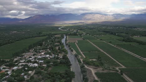 vineyards in cafayate, salta, argentina, green scenic landscape, wine production, andean cordillera background, aerial view above travel destination