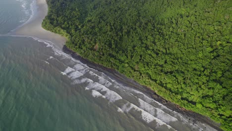 mar en calma y denso dosel de árboles en el parque nacional daintree, norte de queensland, australia