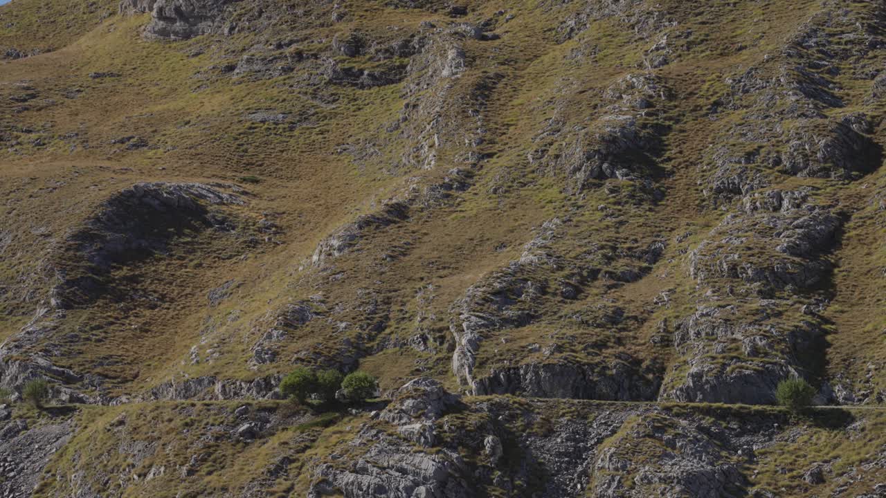 Small white car drives along narrow mountain road carved into steep rocky slope in Durmitor National Park, Montenegro