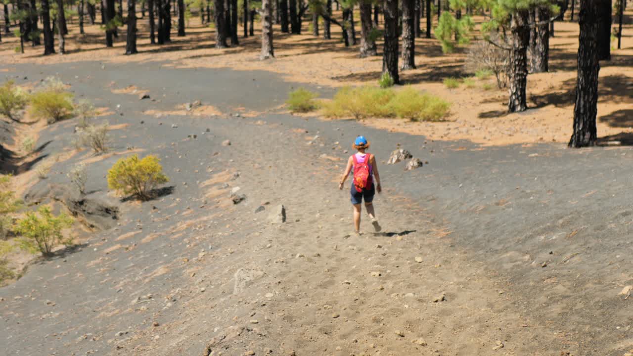 una foto de una excursionista caminando por un sendero polvoriento cerca de un bosque de pinos